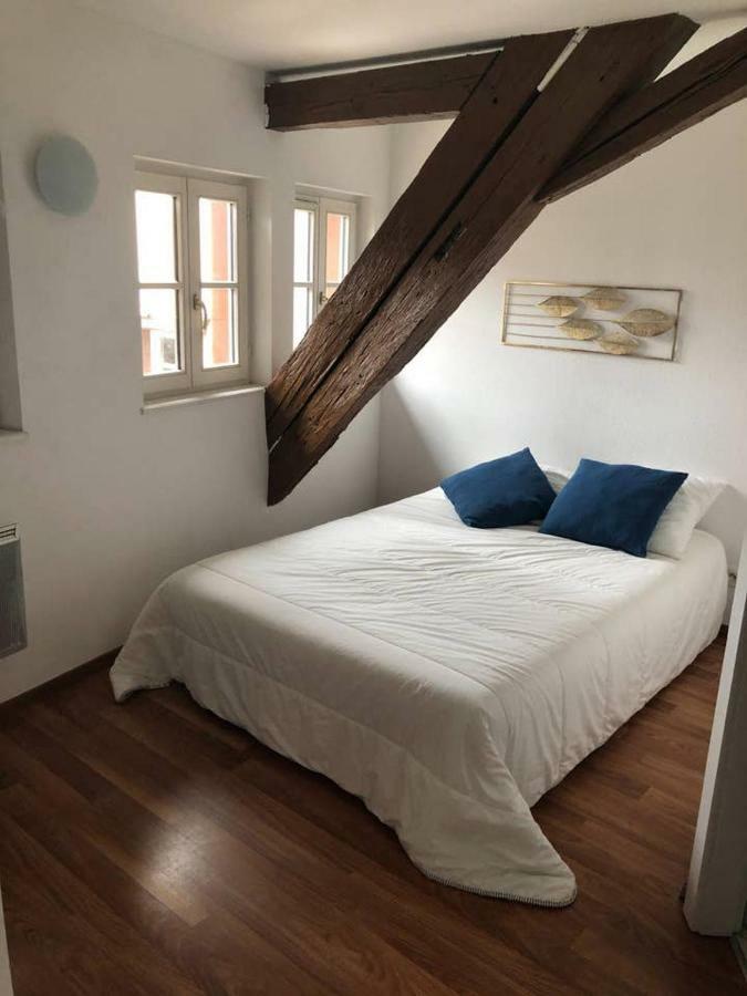 Appartement Avec Balcon Centre Ville 스트라스부르 외부 사진