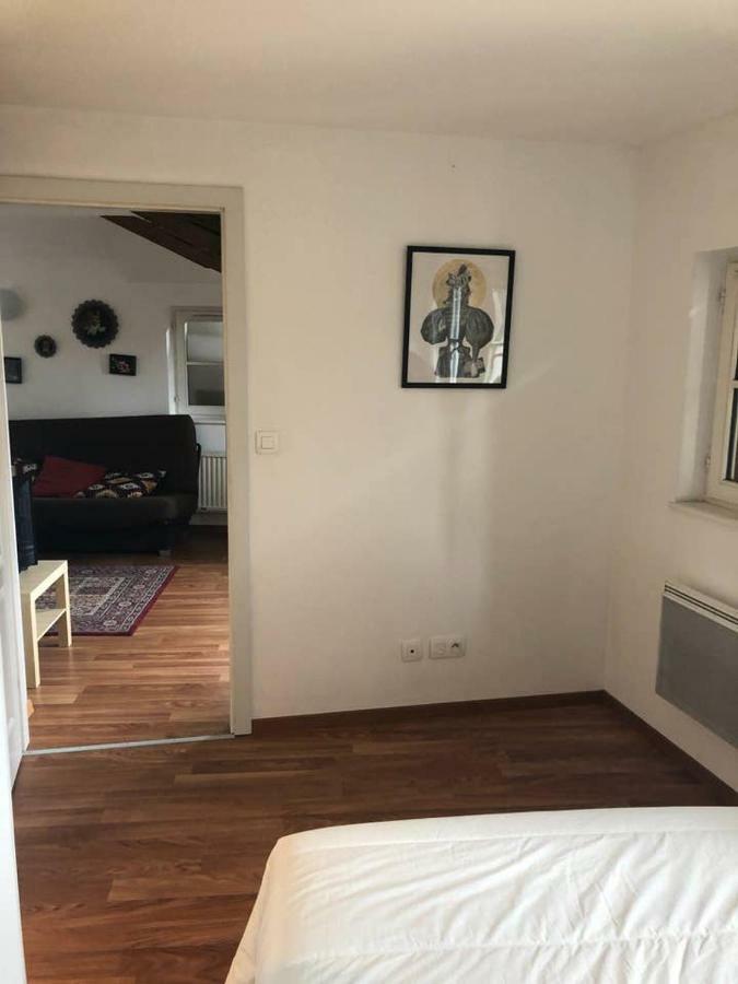 Appartement Avec Balcon Centre Ville 스트라스부르 외부 사진